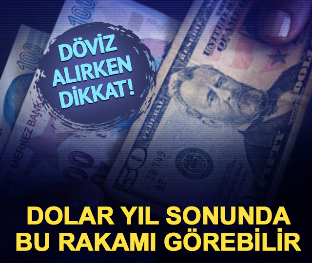 Döviz alırken dikkat! Dolar yıl sonunda 48 TL'yi görebilir