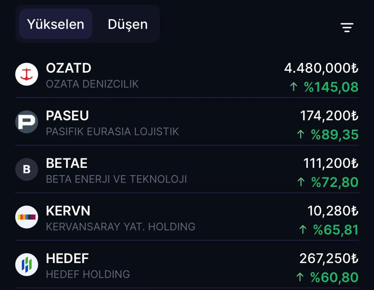 Borsa şampiyonları sıralandı: Son bir ayda üç haneli getiri sağladı, Görsel 1