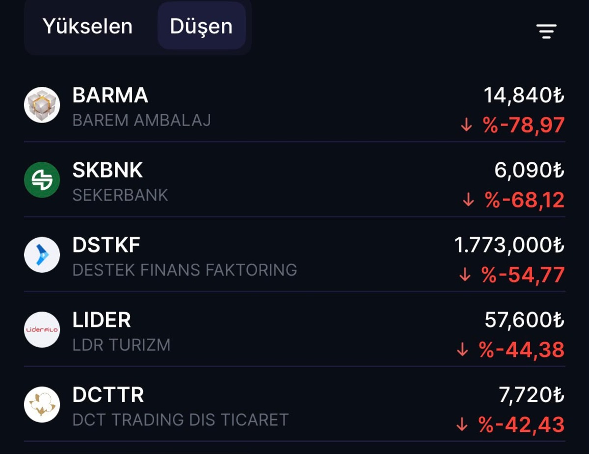 Borsa şampiyonları sıralandı: Son bir ayda üç haneli getiri sağladı, Görsel 2