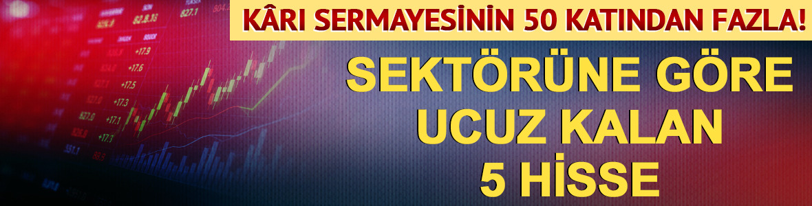 K&acirc;rı sermayesinin 50 katı, sekt&ouml;r&uuml;ne g&ouml;re ucuz hisseler!
