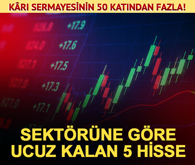 K&acirc;rı sermayesinin 50 katı, sekt&ouml;r&uuml;ne g&ouml;re ucuz hisseler!