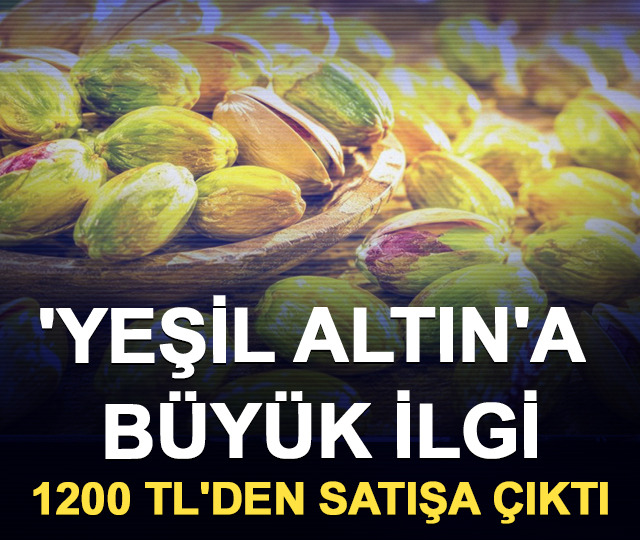 'Yeşil Altın'a b&uuml;y&uuml;k ilgi: 1200 TL'den satışa &ccedil;ıktı