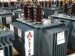 ASTOR'da alımların %46,82'si tek kurumdan! 4,5 milyon lot aldı