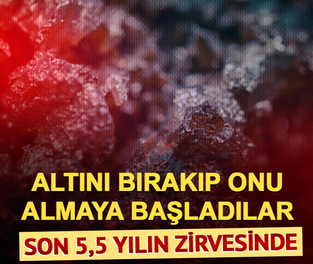 Altından sonra yatırımcının yeni gözdesi! 5,5 yılın zirvesine çıktı