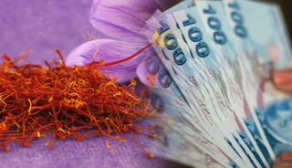 Türkiye'nin toprağından çıkıyor: "Kırmızı altın" servet kazandırıyor