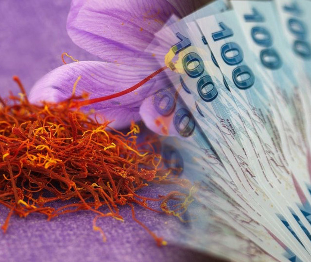 T&uuml;rkiye'nin toprağından &ccedil;ıkıyor: "Kırmızı altın" servet kazandırıyor