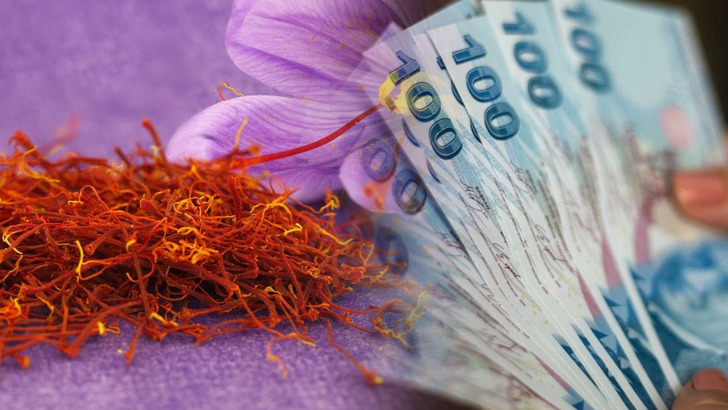 T&uuml;rkiye'nin toprağından &ccedil;ıkıyor: "Kırmızı altın" servet kazandırıyor