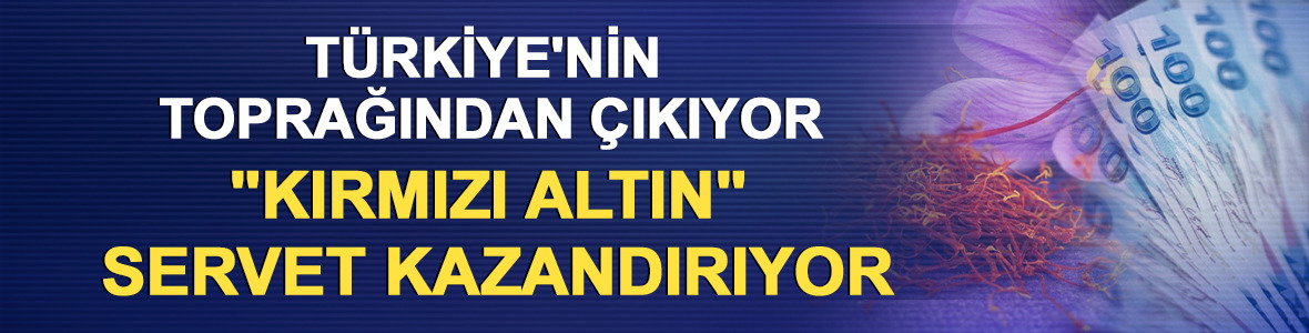 T&uuml;rkiye'nin toprağından &ccedil;ıkıyor: "Kırmızı altın" servet kazandırıyor