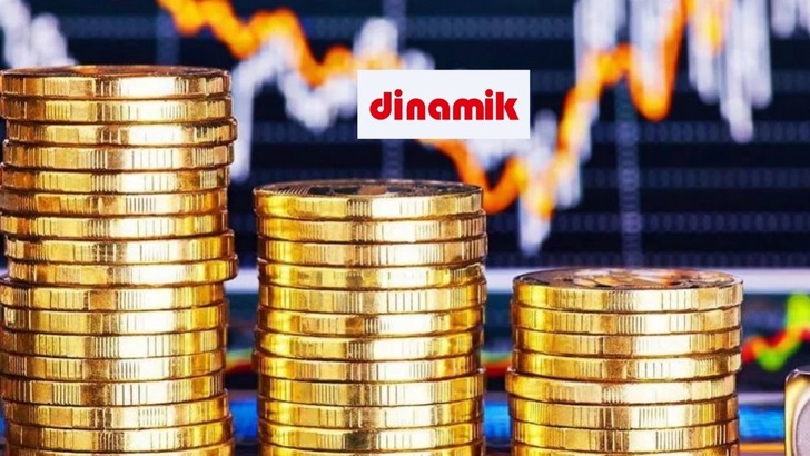 DNISI'de bedelsiz paylar yatırımcıların hesabına ge&ccedil;ti