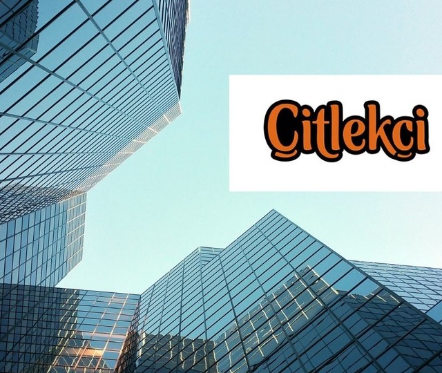 Taze halka arzdan g&uuml;&ccedil;l&uuml; bilan&ccedil;o: CITAS'ın net k&acirc;rı y&uuml;zde 68 arttı