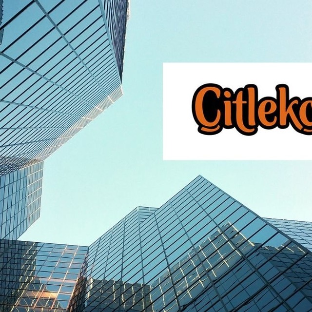 Taze halka arzdan g&uuml;&ccedil;l&uuml; bilan&ccedil;o: CITAS'ın net k&acirc;rı y&uuml;zde 68 arttı