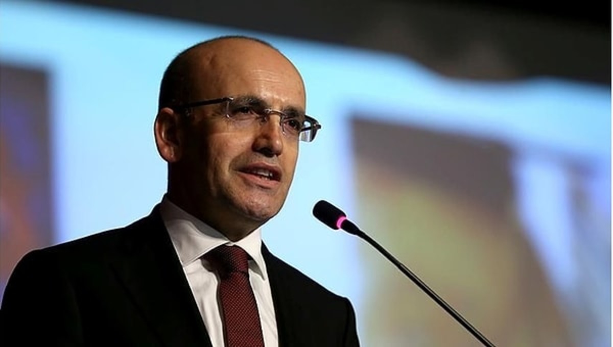 Kamunun tasarrufu 6 bakanlığın toplam bütçesini aştı!, Görsel 4