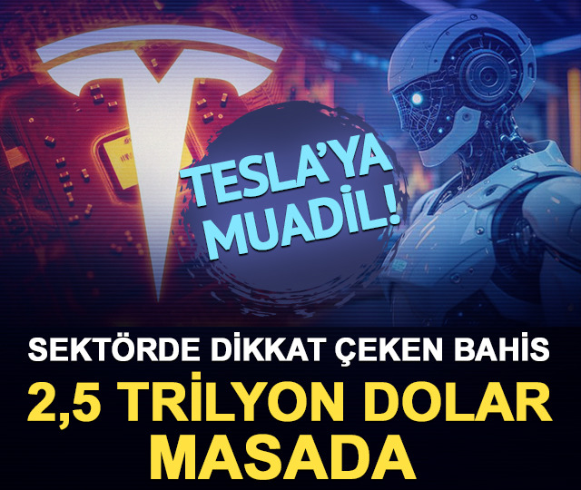 Uzun vadeli portf&ouml;ylerde Tesla muadili hisseler