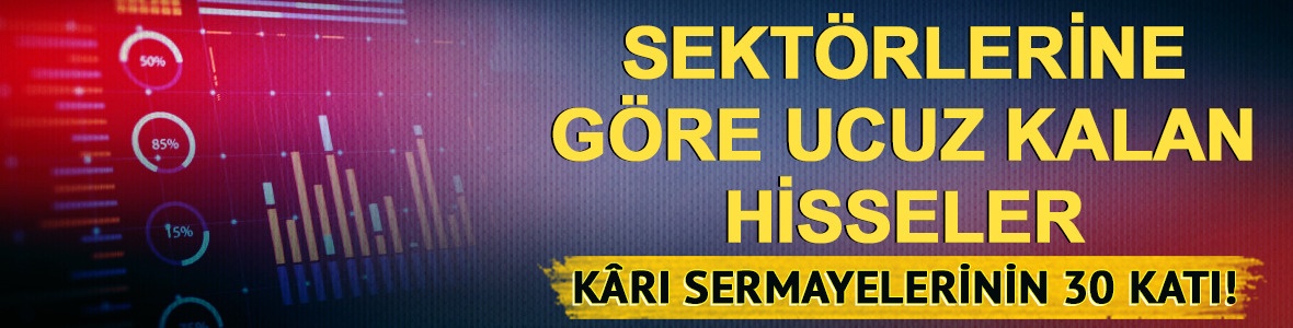 K&acirc;rı sermayelerinin 30 katı! Sekt&ouml;rlerine g&ouml;re ucuz kalan 9 hisse
