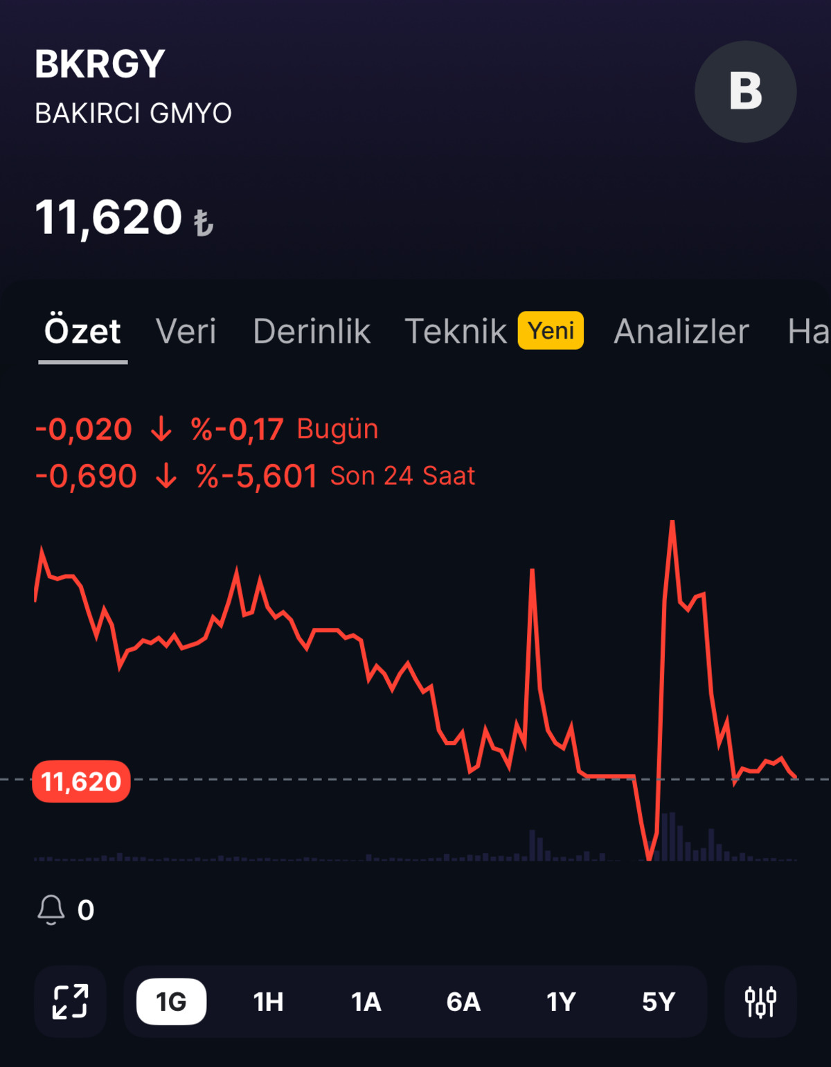 BKRGY de kim alıyor, kim satıyor? BKRGY hisse durumu, Görsel 1