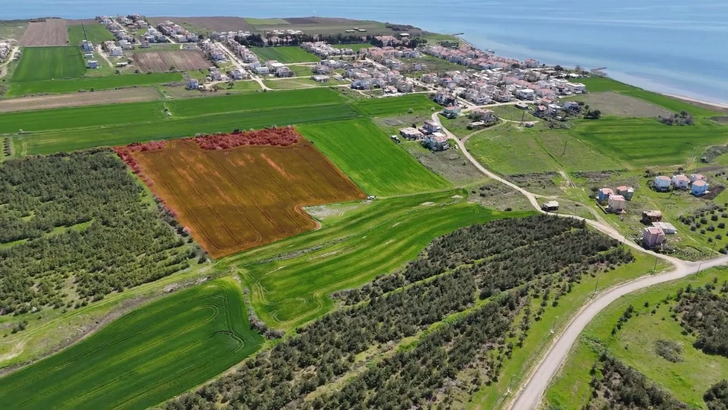 24 ilde 660 arsa satışında bug&uuml;n son g&uuml;n!