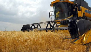 Tarım enflasyonu ağustosta y&uuml;kselişi s&uuml;rd&uuml;rd&uuml;