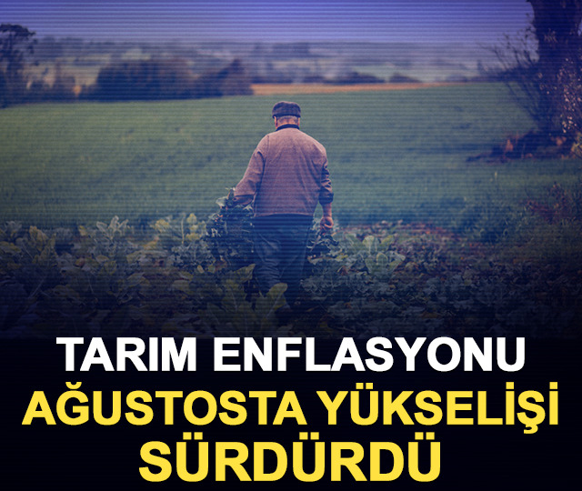 Tarım enflasyonu ağustosta yükselişi sürdürdü