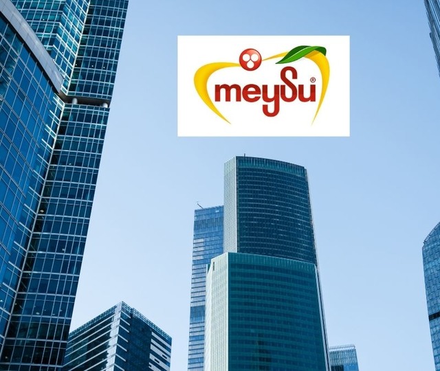 MEYSU&rsquo;dan enerji atağı! GES yatırımı sayısı 5&rsquo;e y&uuml;kseldi