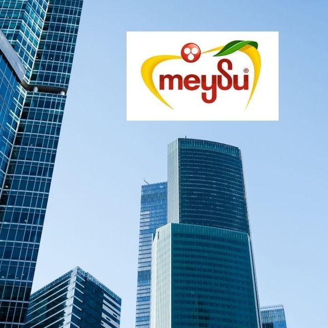 MEYSU&rsquo;dan enerji atağı! GES yatırımı sayısı 5&rsquo;e y&uuml;kseldi