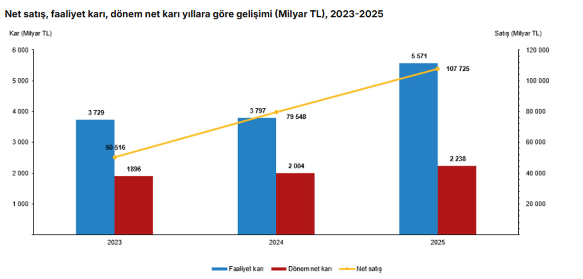 Sektör bilançoları ve kâr-zarar haritası belli oldu, Görsel 1