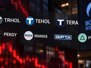 Tera Grubu hisselerinde taban serisi! 7 hissede sert hareket