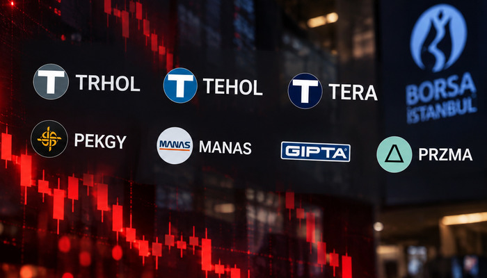 Tera Grubu hisselerinde taban serisi! 7 hissede sert hareket