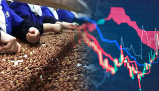 Hissesi sert d&uuml;şen BALSU'da y&ouml;netim sessizliğini bozdu