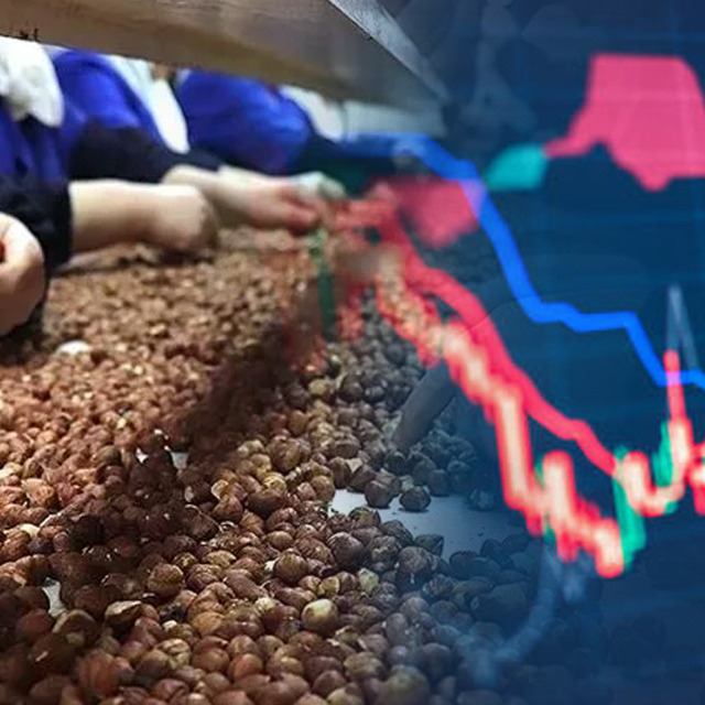 Hisseleri sert d&uuml;şen fındık şirketinde y&ouml;netim sessizliğini bozdu!