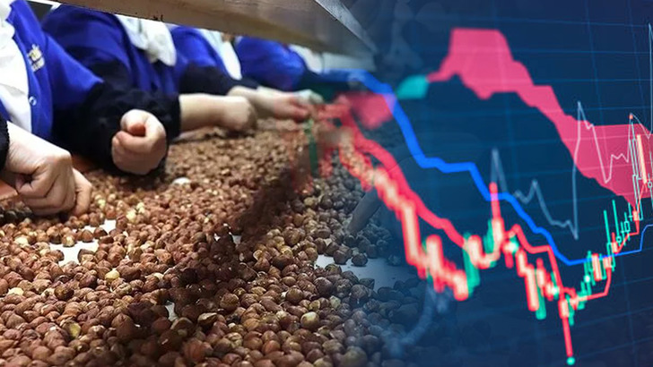 Hisseleri sert d&uuml;şen fındık şirketinde y&ouml;netim sessizliğini bozdu!