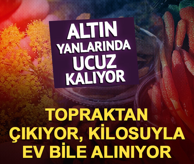 Topraktan &ccedil;ıkan servet: Altını geride bırakan 3 doğal hazine