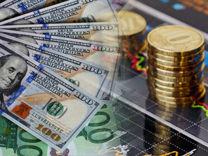 Milyarlık zararın perde arkası: Fon paraları nereye gitti?