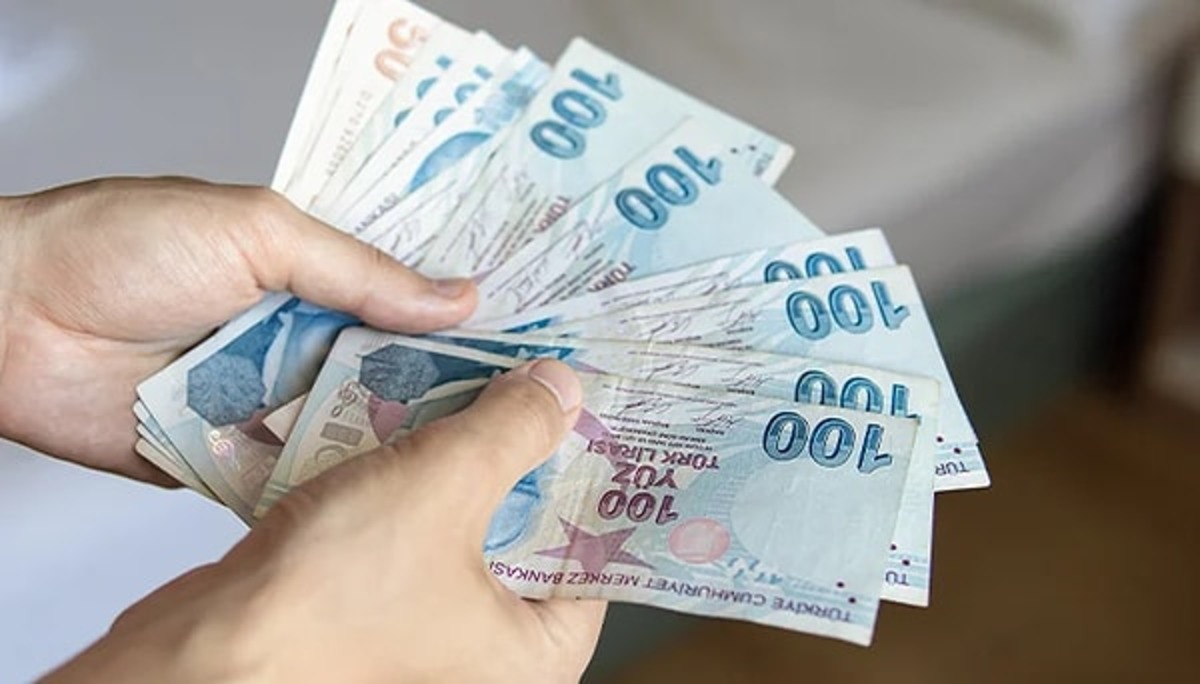 Vatandaşlık maaşında yeni detay! Destekler il il değişecek, Görsel 1