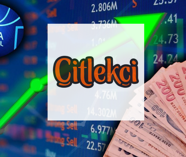 Tek banka sırtladı! CITAS tavan yaparak d&ouml;nd&uuml;