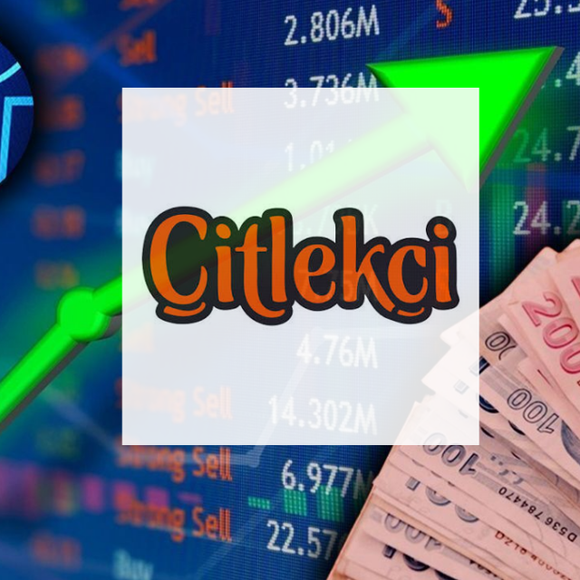 Tek banka sırtladı! CITAS tavan yaparak d&ouml;nd&uuml;