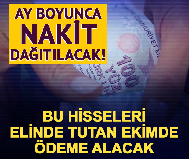 Ekimde temett&uuml; &ouml;deyecek şirketlerin g&uuml;ncel listesi 2026