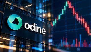 ODINE'de 15 milyar TL'lik kazanç iddiası: Cengiz Avcı hakkında yakalama kararı