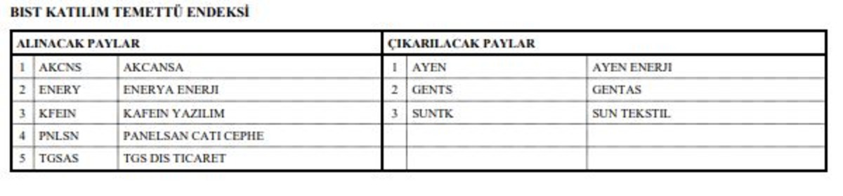 BIST Katılım endeksleri değişiyor: Onlarca hisse girip çıkacak, Görsel 4