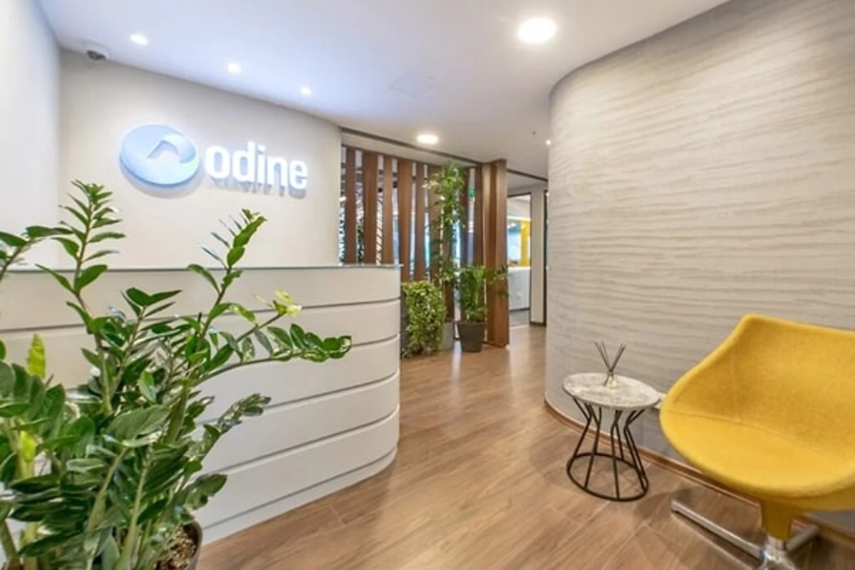 D&uuml;nyanın en b&uuml;y&uuml;k varlık fonu da mağdur! ODINE, ASTOR ve Tera da milyonları kaldı, G&ouml;rsel 4