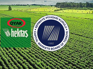 Hektaş'ın 2,38 milyar TL'lik sermaye artırımına SPK'dan şartlı onay