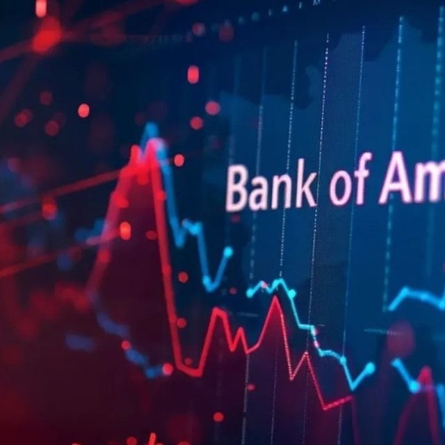 BofA g&uuml;n sonunda hangi hisseleri aldı, hangilerini sattı?