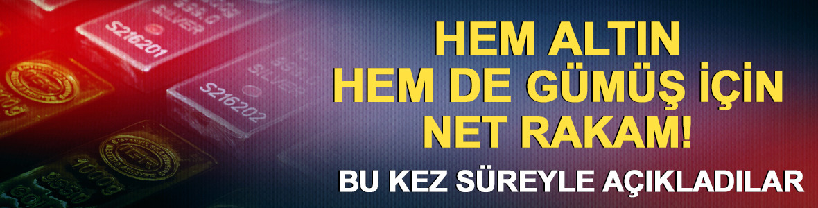 Altında ve g&uuml;m&uuml;şte 12 ay i&ccedil;inde %19 ve %60 y&uuml;kseliş potansiyeli!