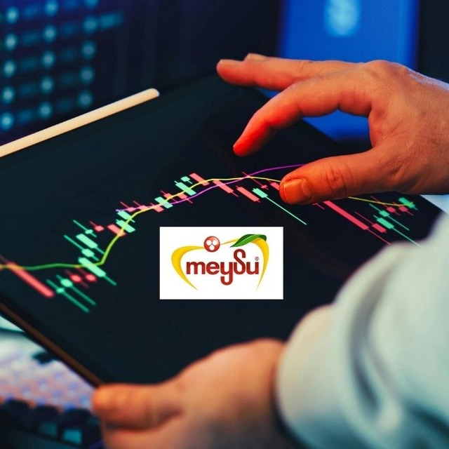 MEYSU'da pay geri alımı: İşlemin tutarı 5 milyon TL'yi ge&ccedil;ti