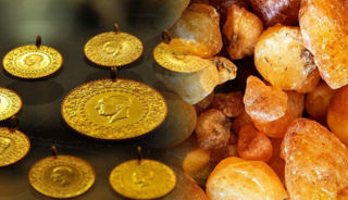 Kilosu altından daha pahalı: Ağa&ccedil;lardan toplanıyor