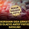 Borsanın gıda şirketi Polonya'ya Antep fıstığı satacak! 